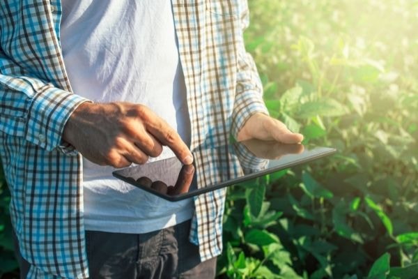 [Chronique] Intelligence digitale : l’urgence d’une acculturation à un numérique durable et responsable
