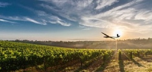 Les drones agricoles comme outil d’expertise