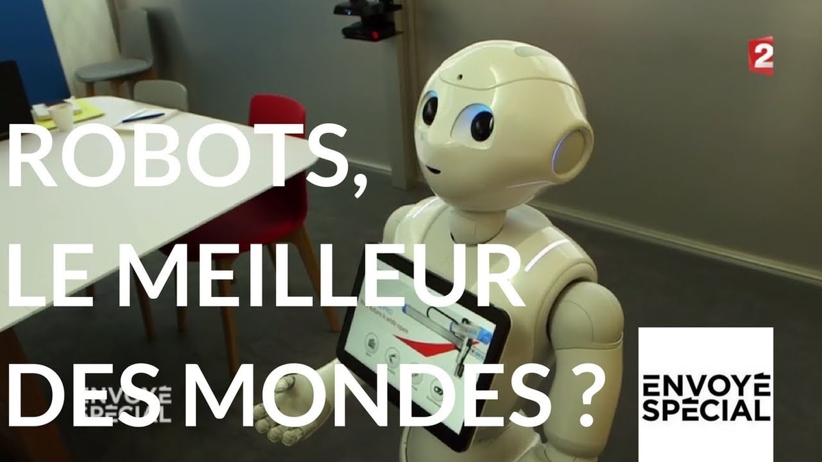 Un reportage de Martin Mischi et Vincent Lepreux (diffusé dans « Envoyé Spécial » le 11 janvier 2018)