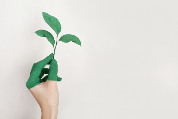 Six solutions pour répondre aux enjeux sociétaux et environnementaux