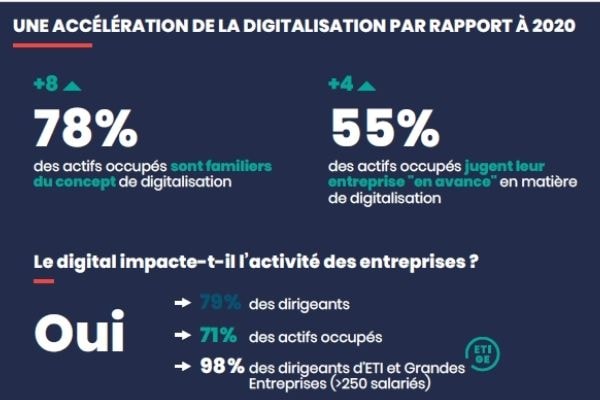 Infographie Inetum