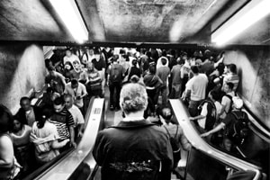 Transport Urbain - L’usager au cœur du réseau