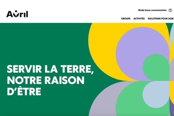 Cinq sites internet éco-conçus à découvrir