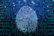 Sécurité – Ébullition dans le cybermonde