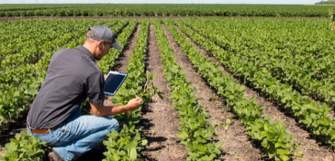 [DOSSIER] Agriculture : des hommes et des champs connectés