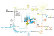 Green énergie : Ennesys lève 300 000 euros en crowdfunding