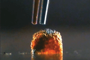 3D - Imprimer du tissu humain, c’est possible !