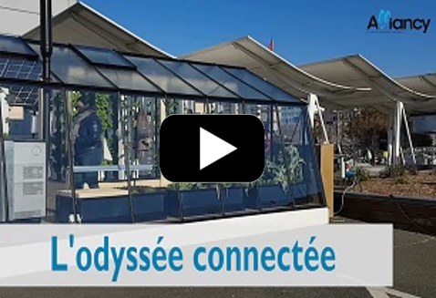 Les serres connectées, un mélange d’aquaponie et d’algorithme