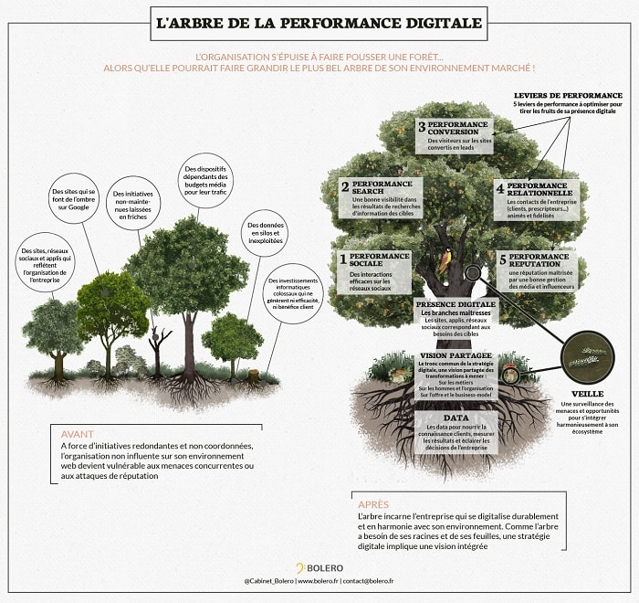Portrait chinois : et si la transformation digitale était un arbre ?
