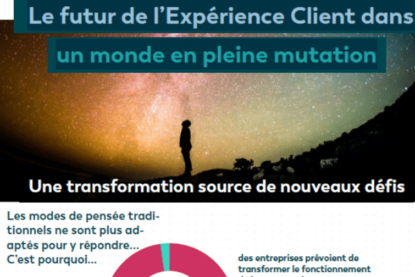Infographie_Webhelp Anywhere_1