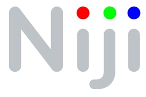 Niji prévoit 15 recrutements à Lyon en 2017