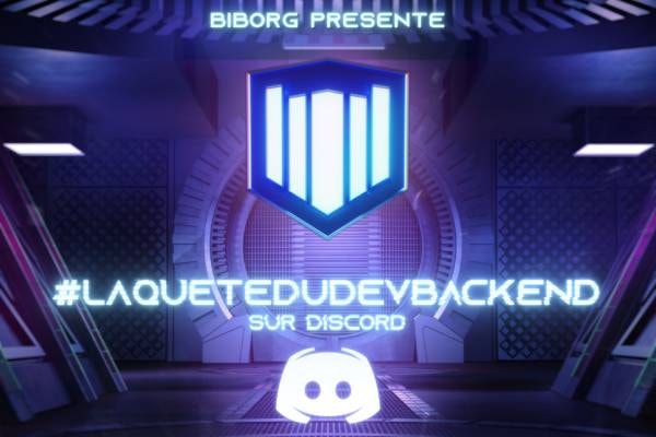 Biborg lance le premier recrutement de développeur Back-End sur Discord