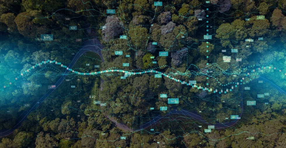 Les 7 lauréats du challenge TechSprint 2024 mettent la data au service de l’environnement