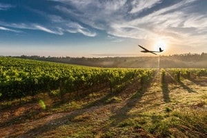 Fondée en 2011, Delair propose des offres spécifiques à l'agriculture depuis deux ans. ©DR