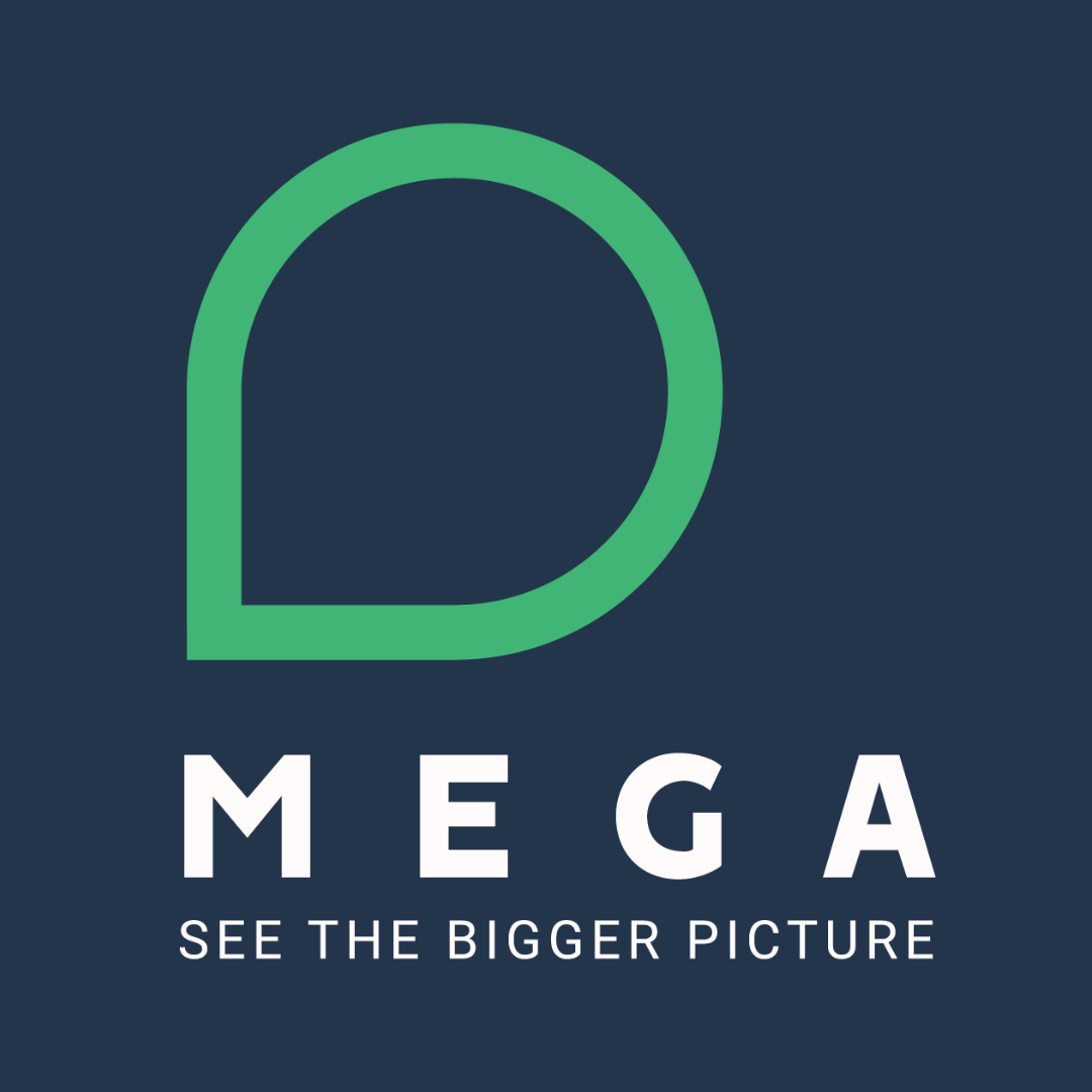 Mega International