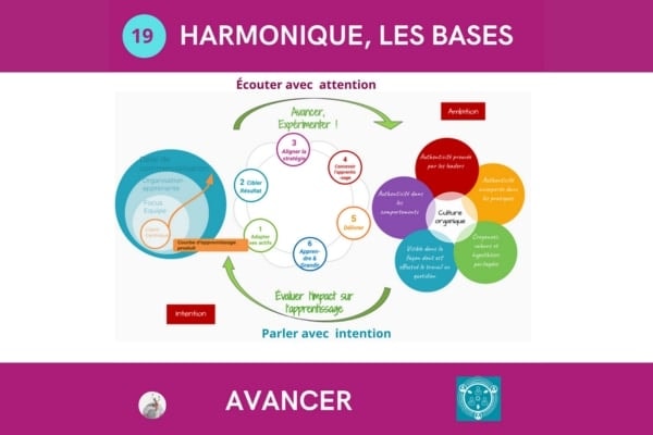 Harmonique les bases