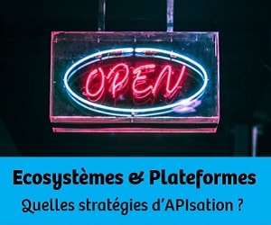 Ecosystèmes & Plateformes : Quelles stratégies d’APIsation pour les entreprises ?