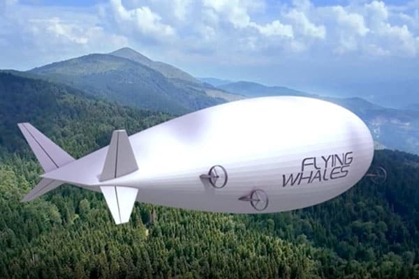 flying whales