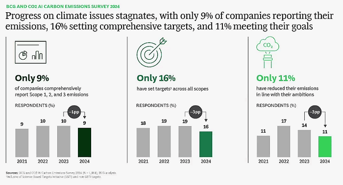 BCG-CO2-AI-Carbon-Emissions-Survey-2024