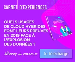 Télécharger notre nouveau crnet d'expériences sur le Cloud Hybride en 2019