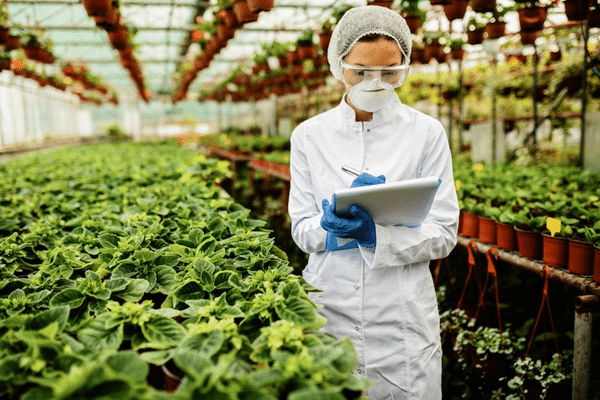l’avenir de la sécurité alimentaire