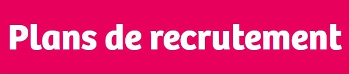 le numérique recrute