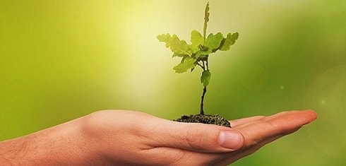14 incubateurs/accélérateurs d’un nouveau genre