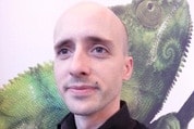 Julien-Niedergang-article